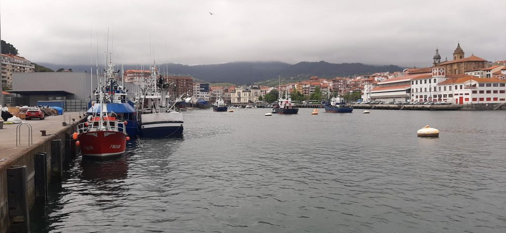 desfibrilador flota bizkai